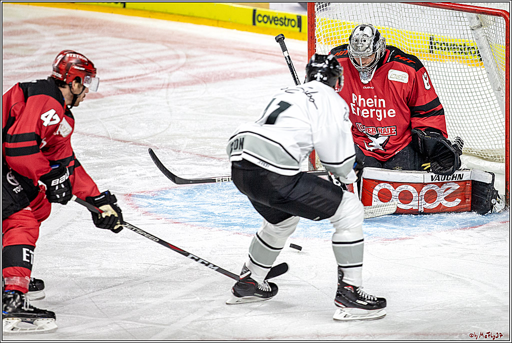 DEL; Koelner Haie - Thomas Sabo Ice Tigers Nuernberg, 19.02.2019